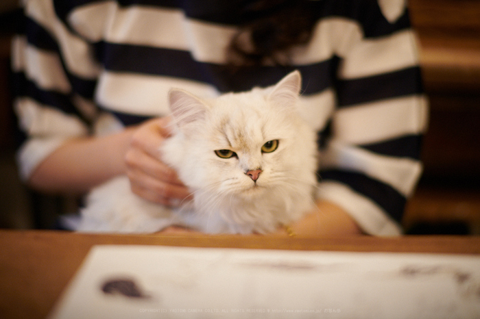 お写ん歩: Nikon AF-S NIKKOR 35mm F1.8G EDアーカイブ